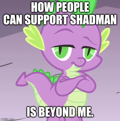 Say "NO" to Shadman (mod note: who tf is Shadman) | HOW PEOPLE CAN SUPPORT SHADMAN; IS BEYOND ME. | image tagged in disappointed spike mlp,my little pony friendship is magic,spike,tv show,cartoon | made w/ Imgflip meme maker