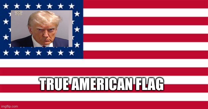 Save America again | TRUE AMERICAN FLAG | image tagged in trump,american flag,maga | made w/ Imgflip meme maker