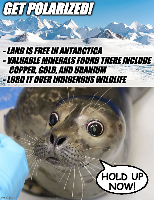 Join the Great Republican Exodus!  Reject Democrat tyranny and become a billionaire! | GET POLARIZED! - LAND IS FREE IN ANTARCTICA
- VALUABLE MINERALS FOUND THERE INCLUDE
    COPPER, GOLD, AND URANIUM
- LORD IT OVER INDIGENOUS WILDLIFE; HOLD UP
NOW! | image tagged in antarctica,memes,surprised seal,great republican exodus | made w/ Imgflip meme maker