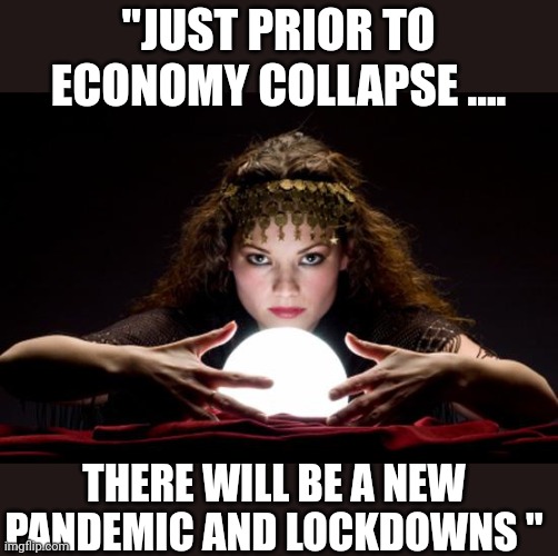 Rinse and repeat | "JUST PRIOR TO ECONOMY COLLAPSE .... THERE WILL BE A NEW PANDEMIC AND LOCKDOWNS " | image tagged in fortune teller | made w/ Imgflip meme maker