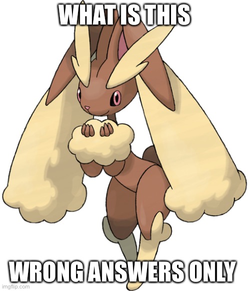 Lopunny | WHAT IS THIS; WRONG ANSWERS ONLY | image tagged in lopunny | made w/ Imgflip meme maker