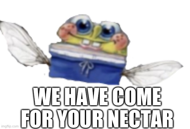 Spongefly | WE HAVE COME FOR YOUR NECTAR | image tagged in spongefly | made w/ Imgflip meme maker