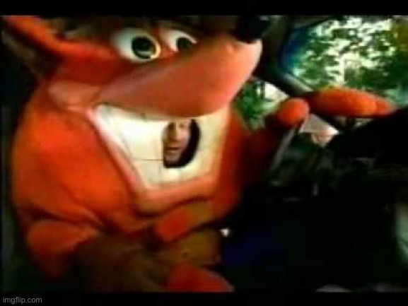 Crash Bandicoot Driving | image tagged in crash bandicoot driving | made w/ Imgflip meme maker