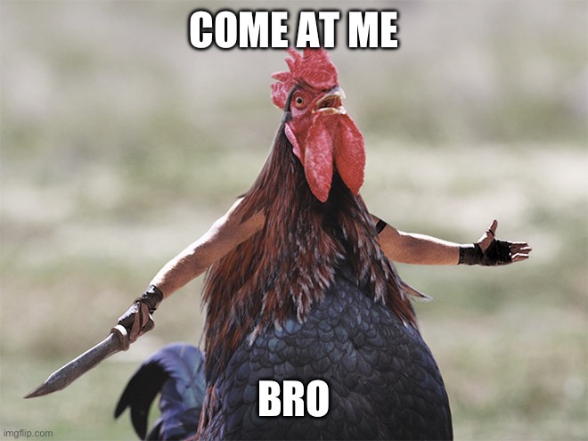 Come At Me Bro | COME AT ME BRO | image tagged in come at me bro | made w/ Imgflip meme maker