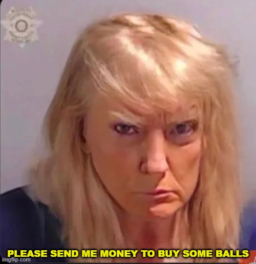donna | PLEASE SEND ME MONEY TO BUY SOME BALLS | image tagged in maga,donald trump | made w/ Imgflip meme maker