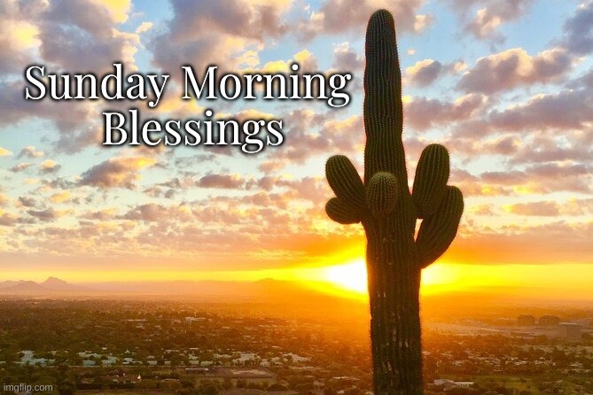 Sunday Morning Blessings | Sunday Morning 
Blessings | image tagged in sunday,blessings,desert | made w/ Imgflip meme maker