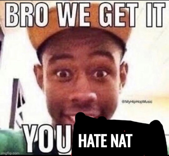 BRO WE GET IT YOU'RE GAY | HATE NAT | image tagged in bro we get it you're gay | made w/ Imgflip meme maker