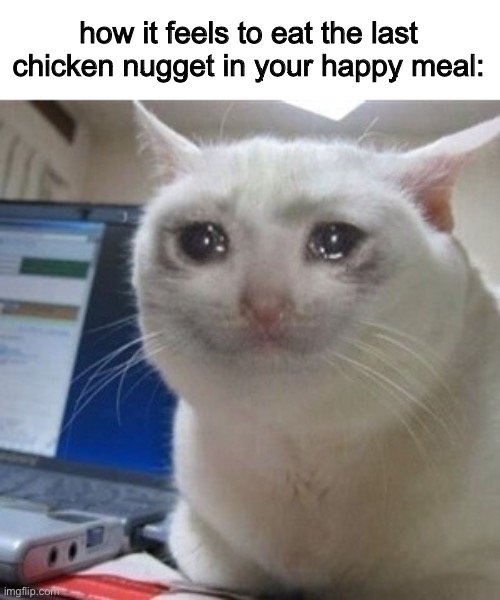 goodbye, old friend. | how it feels to eat the last chicken nugget in your happy meal: | image tagged in crying cat | made w/ Imgflip meme maker