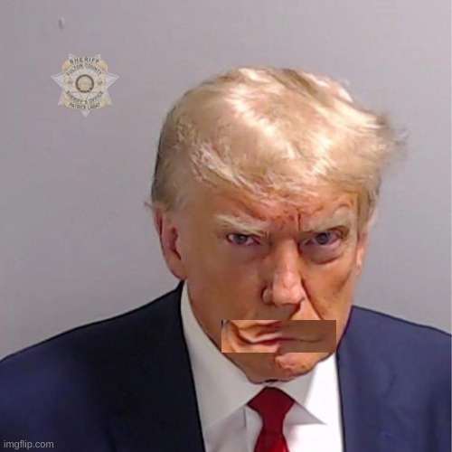 Trump mugshot | image tagged in trump mugshot | made w/ Imgflip meme maker
