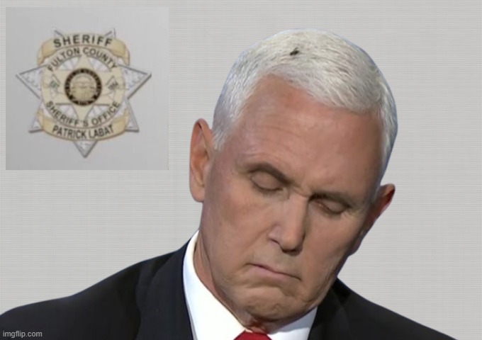 Buzz Buzz | image tagged in mike pence,fly,trump | made w/ Imgflip meme maker