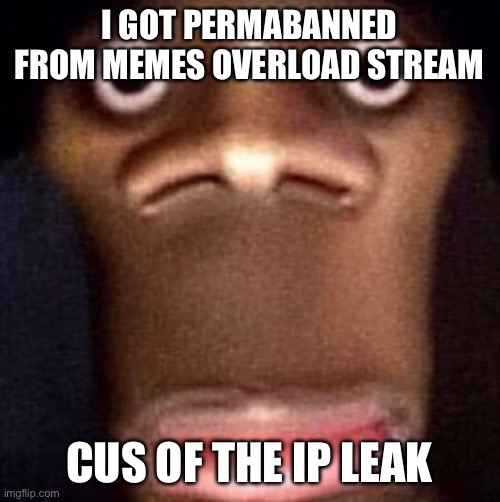 Bruh | I GOT PERMABANNED FROM MEMES OVERLOAD STREAM; CUS OF THE IP LEAK | image tagged in bruh | made w/ Imgflip meme maker