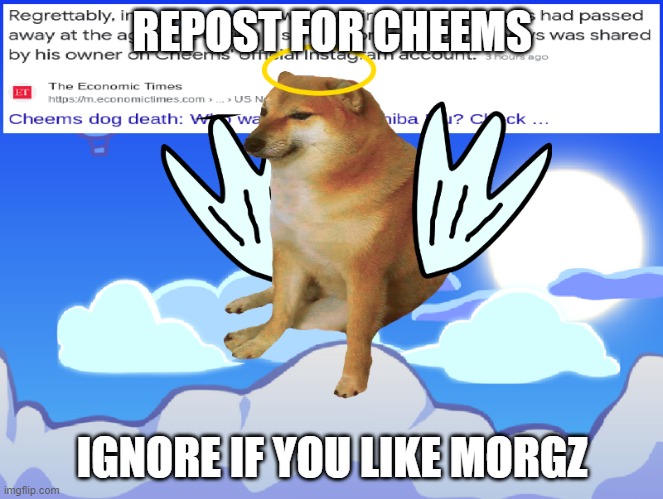 Rip Cheems Help spread the word | REPOST FOR CHEEMS; IGNORE IF YOU LIKE MORGZ | image tagged in rip cheems help spread the word | made w/ Imgflip meme maker