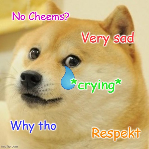 Rip Cheems | No Cheems? Very sad; *crying*; Why tho; Respekt | image tagged in memes,doge | made w/ Imgflip meme maker