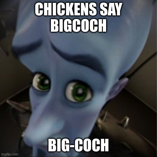 Megamind peeking | CHICKENS SAY
BIGCOCH; BIG-COCH | image tagged in megamind peeking | made w/ Imgflip meme maker