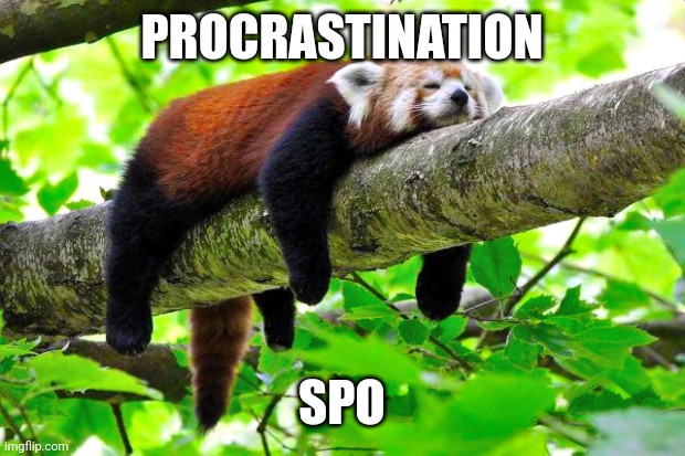 Procrastination | PROCRASTINATION SPO | image tagged in procrastination | made w/ Imgflip meme maker