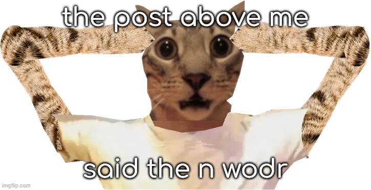 lol | the post above me; said the n wodr | image tagged in _,__,___,____,_____,______ | made w/ Imgflip meme maker