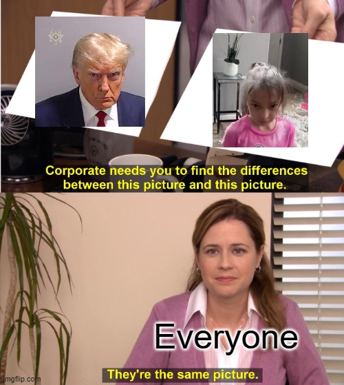 They're The Same Picture Meme | Everyone | image tagged in memes,they're the same picture | made w/ Imgflip meme maker
