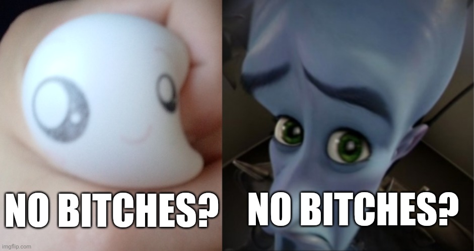 NO BITCHES? NO BITCHES? | image tagged in megamind peeking | made w/ Imgflip meme maker