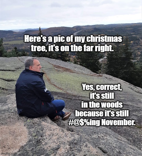 Christmas | Here's a pic of my christmas tree, it's on the far right. Yes, correct, it's still in the woods because it's still #@$%ing November. | image tagged in christmas tree,woods,christmas,tree,november | made w/ Imgflip meme maker