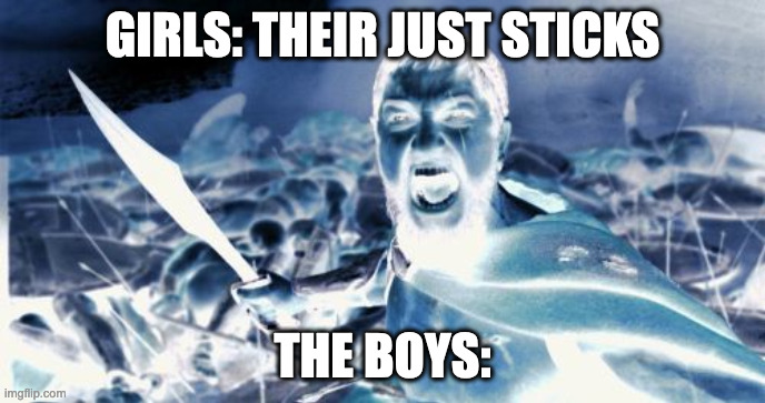 Sparta Leonidas Meme | GIRLS: THEIR JUST STICKS; THE BOYS: | image tagged in memes,sparta leonidas | made w/ Imgflip meme maker