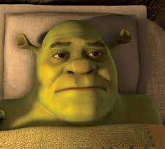 Shrek waking up Blank Meme Template