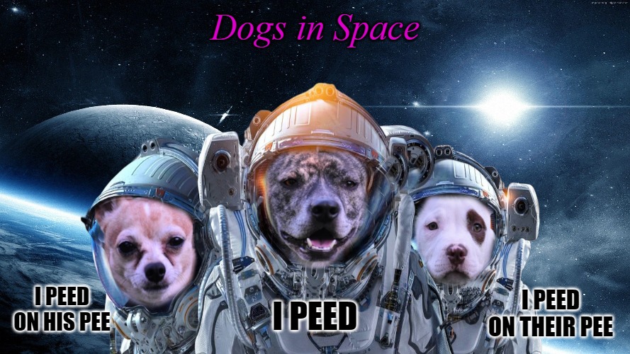 Dogs in Space; I PEED ON HIS PEE; I PEED ON THEIR PEE; I PEED | made w/ Imgflip meme maker