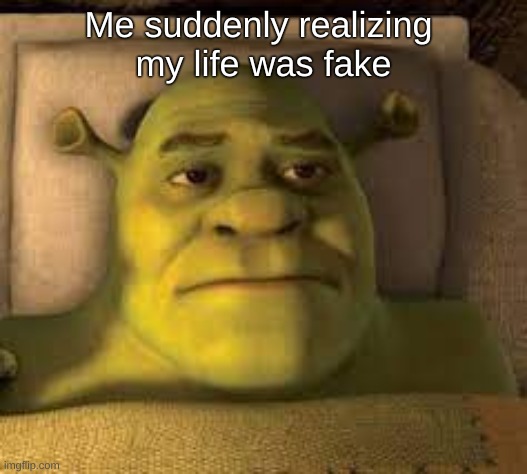 my dreams are better than my life | Me suddenly realizing 
my life was fake | image tagged in shrek waking up | made w/ Imgflip meme maker
