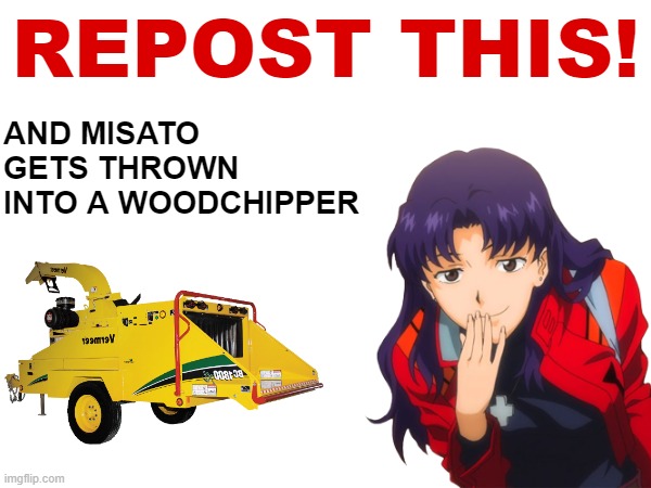 Misato is a Groomer, Kill Her | AND MISATO GETS THROWN INTO A WOODCHIPPER; REPOST THIS! | image tagged in memes | made w/ Imgflip meme maker