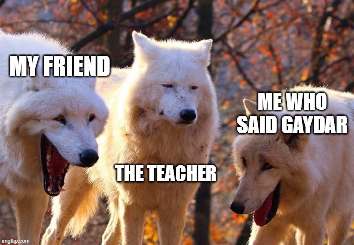 2/3 wolves laugh | MY FRIEND; ME WHO SAID GAYDAR; THE TEACHER | image tagged in 2/3 wolves laugh | made w/ Imgflip meme maker