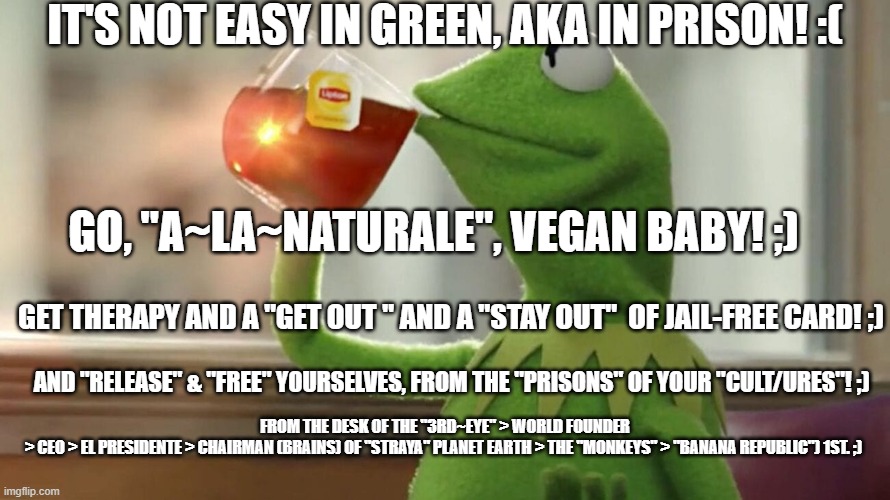 Kermit In Prison. | IT'S NOT EASY IN GREEN, AKA IN PRISON! :(; GO, "A~LA~NATURALE", VEGAN BABY! ;); GET THERAPY AND A "GET OUT " AND A "STAY OUT"  OF JAIL-FREE CARD! ;); AND "RELEASE" & "FREE" YOURSELVES, FROM THE "PRISONS" OF YOUR "CULT/URES"! ;); FROM THE DESK OF THE "3RD~EYE" > WORLD FOUNDER > CEO > EL PRESIDENTE > CHAIRMAN (BRAINS) OF "STRAYA" PLANET EARTH > THE "MONKEYS" > "BANANA REPUBLIC") 1ST. ;) | image tagged in prisons,parole,vegan,courts,justice,sentence | made w/ Imgflip meme maker
