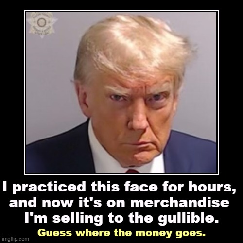 Ka-CHING! | I practiced this face for hours, 
and now it's on merchandise 
I'm selling to the gullible. | Guess where the money goes. | image tagged in funny,demotivationals,trump,faces,greed,profit | made w/ Imgflip demotivational maker