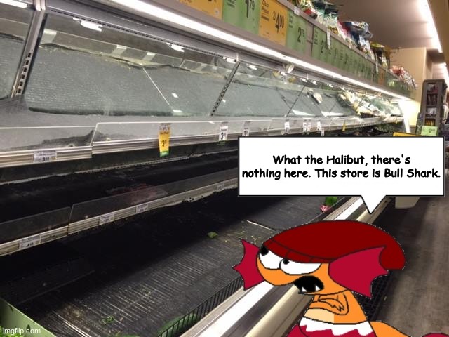 Frilligan at the store.mp3 | What the Halibut, there's nothing here. This store is Bull Shark. | image tagged in empty grocery store,pike's lagoon | made w/ Imgflip meme maker