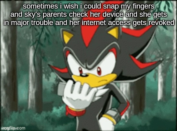 shadow looking at phone | sometimes i wish i could snap my fingers and sky's parents check her device and she gets in major trouble and her internet access gets revoked | image tagged in shadow looking at phone | made w/ Imgflip meme maker