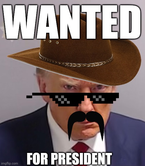 Donald Trump Mugshot | WANTED; FOR PRESIDENT | image tagged in donald trump mugshot | made w/ Imgflip meme maker