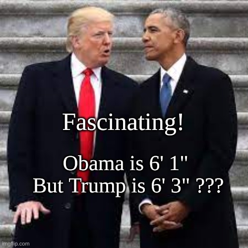 Fascinating | Fascinating! Obama is 6' 1" 
But Trump is 6' 3" ??? | image tagged in trump vs obama,presidents' heights | made w/ Imgflip meme maker