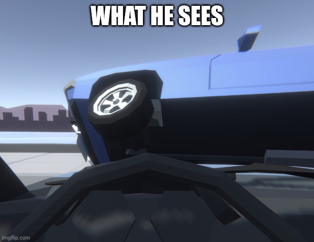 WHAT HE SEES | image tagged in run | made w/ Imgflip meme maker