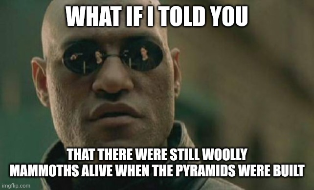 Matrix Morpheus | WHAT IF I TOLD YOU; THAT THERE WERE STILL WOOLLY MAMMOTHS ALIVE WHEN THE PYRAMIDS WERE BUILT | image tagged in memes,matrix morpheus | made w/ Imgflip meme maker