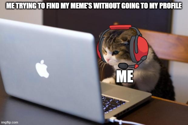 trying to find you're meme's be like lol | ME TRYING TO FIND MY MEME'S WITHOUT GOING TO MY PROFILE; ME | image tagged in cat using computer | made w/ Imgflip meme maker