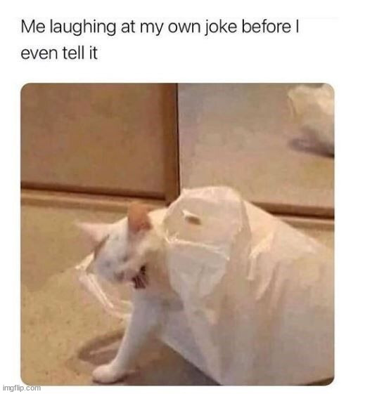 I do this too much | image tagged in memes,funny | made w/ Imgflip meme maker