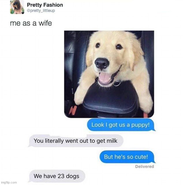 image tagged in memes | made w/ Imgflip meme maker