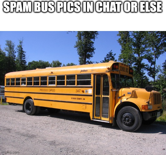 school bus | SPAM BUS PICS IN CHAT OR ELSE | image tagged in school bus | made w/ Imgflip meme maker