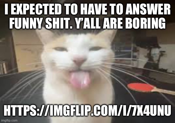 Cat | I EXPECTED TO HAVE TO ANSWER FUNNY SHIT. Y’ALL ARE BORING; HTTPS://IMGFLIP.COM/I/7X4UNU | image tagged in cat | made w/ Imgflip meme maker