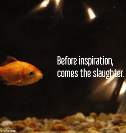 Yay | made w/ Imgflip meme maker