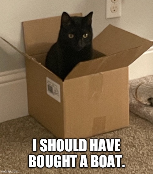 I should have bought a boat. | I SHOULD HAVE
BOUGHT A BOAT. | image tagged in memes,funny memes | made w/ Imgflip meme maker