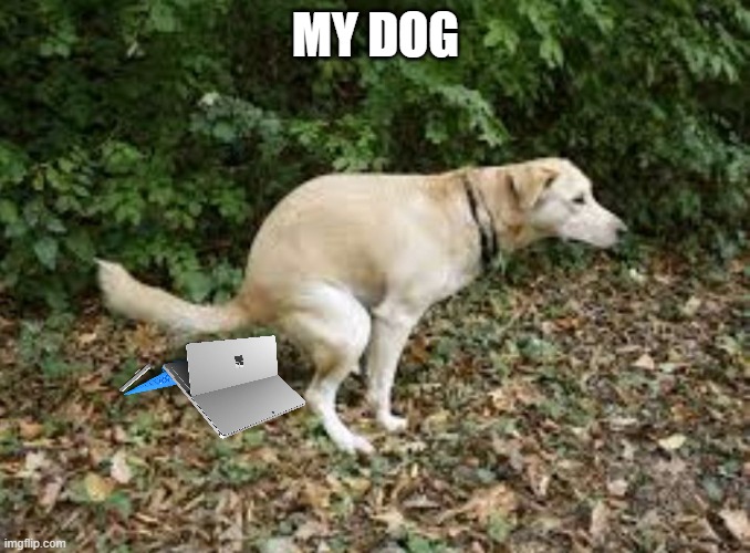 Dog pooping  | MY DOG | image tagged in dog pooping | made w/ Imgflip meme maker