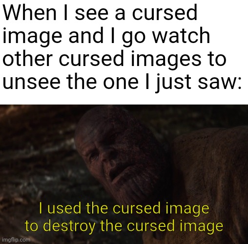 i used the stones to destroy the stones | When I see a cursed image and I go watch other cursed images to unsee the one I just saw:; I used the cursed image to destroy the cursed image | image tagged in i used the stones to destroy the stones | made w/ Imgflip meme maker