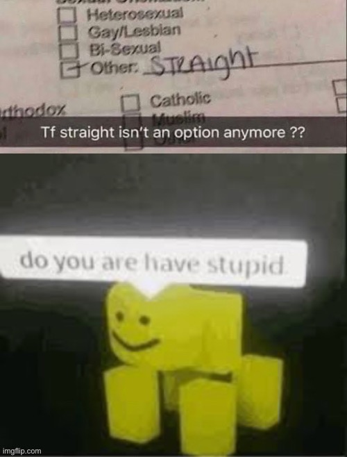 i think he are have stupid | image tagged in heterosexual,idiot | made w/ Imgflip meme maker