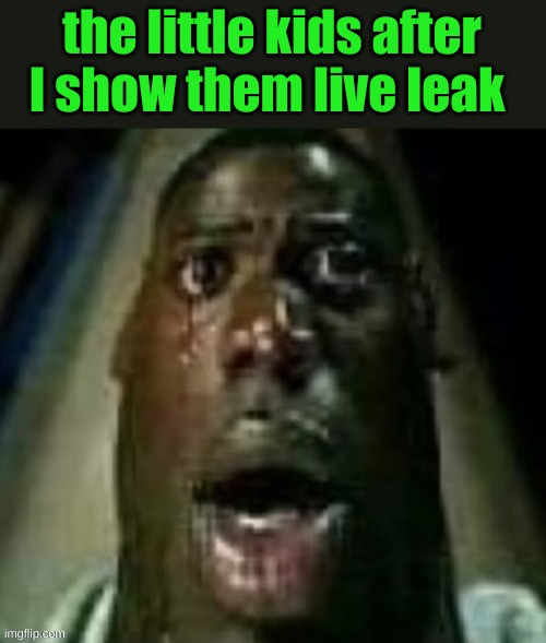 terror | the little kids after I show them live leak | image tagged in terror | made w/ Imgflip meme maker