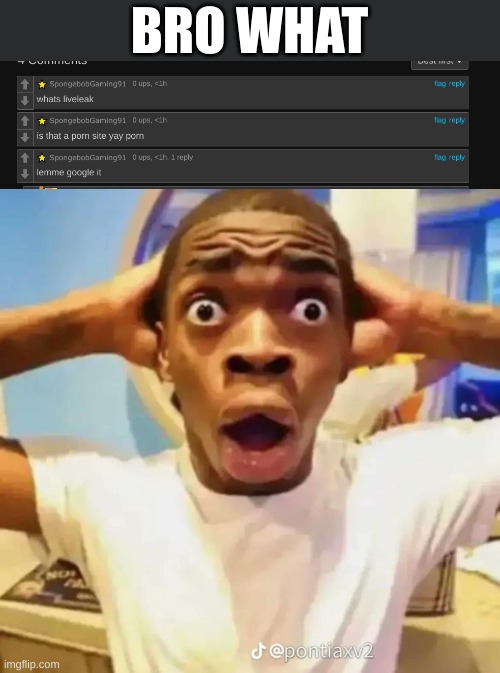 BRO WHAT | image tagged in shocked black guy | made w/ Imgflip meme maker