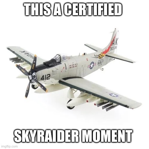 THIS A CERTIFIED; SKYRAIDER MOMENT | image tagged in plane,warbird,memes | made w/ Imgflip meme maker